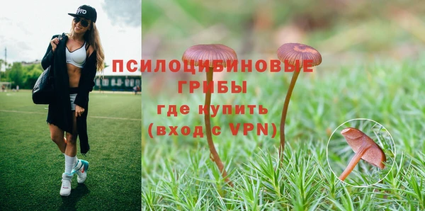ешки Михайлов